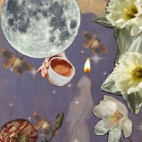 bunny bloom (@un1versema1den) 's Twitter Profile