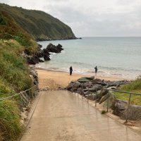 Sally Robertson (@sallyro54292690) 's Twitter Profile