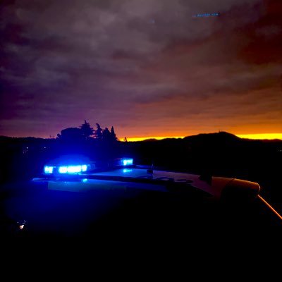 Hank0133's profile picture. GM 👮‍♂️