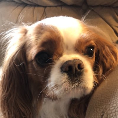 I am semi-retired, a mom, grandmother, and great grandmother. The world has gone off the rails and I want to help us stay on the path to success and security.
