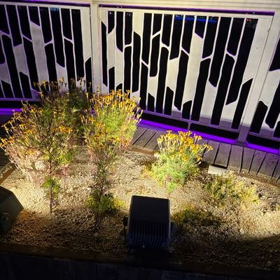 kuhlove04254535's profile picture. 반가워요