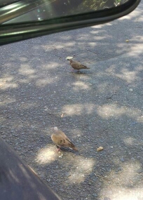 Jesu1966's profile picture. 