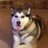 25NDSU's profile image
