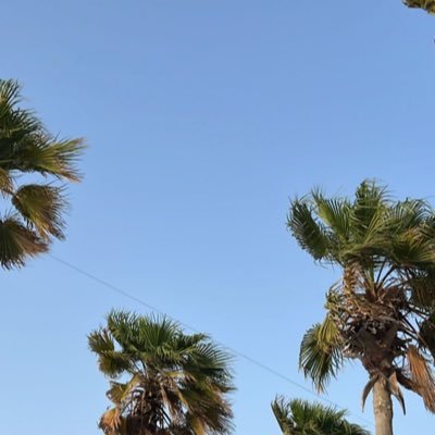 mmeerrah1's profile image