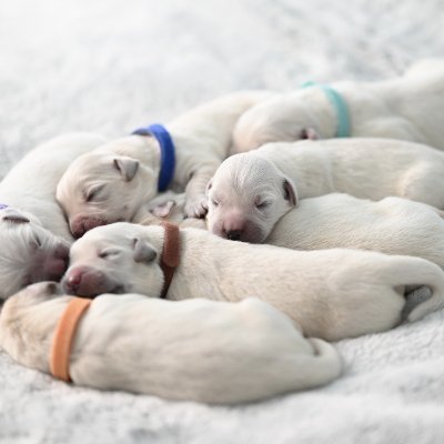 Darina1134313's profile picture. 🧘‍♀️ 心が浄化されました✨ 好き嫌いが分かれるアカウント😌 たまに愚痴😊 ビジネスDMは即ゴミ箱ポイ🚮