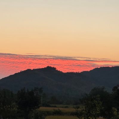 fengwen8's profile picture. the truth that you leave