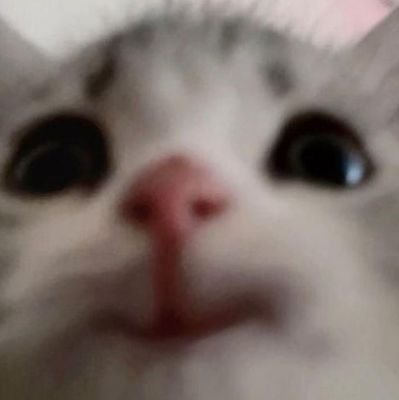 Danyさんのプロフィール画像