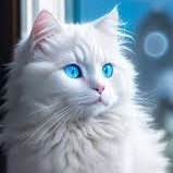 rabbi2607's profile picture. Get ready to fight