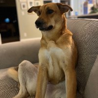 Dave (@college__dave) 's Twitter Profile
