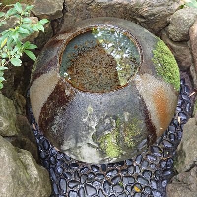 はるさんのプロフィール画像