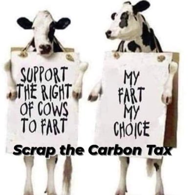 lorifurlonger's profile picture. I joined for a laugh, but stayed for the truth.