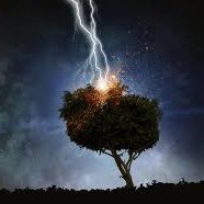 Zen Trip (@zentrip1) 's Twitter Profile