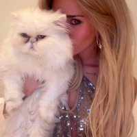 gigi (@sincerelylvr) 's Twitter Profile