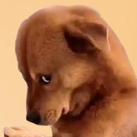 introvert memes (@introvertsmemes) 's Twitter Profile Photo introvert memes (@introvertsmemes) 's Twitter Profile Photo