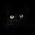 BlackCats&BSkies (@jackiesennett) Twitter profile photo BlackCats&BSkies (@jackiesennett) Twitter profile photo