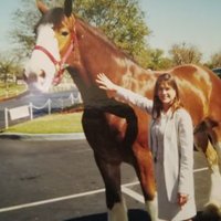 Betty (@betty45863483) 's Twitter Profile Photo