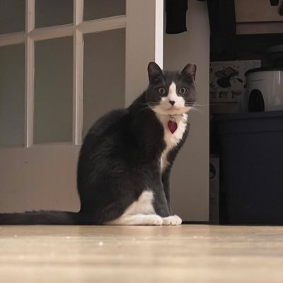 enbay_g's profile picture. just a guy