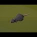 Lumbridge Rat (@lumbridgerat) Twitter profile photo Lumbridge Rat (@lumbridgerat) Twitter profile photo