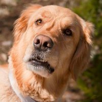 Fefe Hehe (@hehefefe57089) 's Twitter Profile Photo Fefe Hehe (@hehefefe57089) 's Twitter Profile Photo