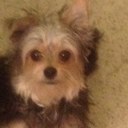 lorie davis - @DavisLorie - Twitter