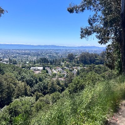 bodega_goods's profile picture. Account was hacked cleanings things up