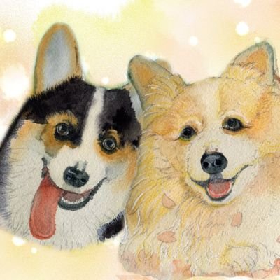 KtmtMaySanto's profile picture. コーギー（初代Mayくん 2006.05.03.生まれ →2023.09.15...17歳4ヶ月にて永眠、２代目Santoくん2023.12.30.生まれ⇒2024.02.29.バロネスさんよりお迎え）、
サッカー＆フットサル（やるのも観るのも大好きです）、
市民マラソン（記録ではなく走った後の🍺目的(笑)）