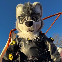 Darko (@darkowolfy) 's Twitter Profile Photo