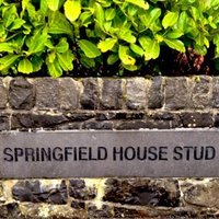 OakLodge&Springfield (@oaklodgestud) 's Twitter Profile