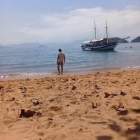 Vinicius (@vdsanmg) 's Twitter Profile