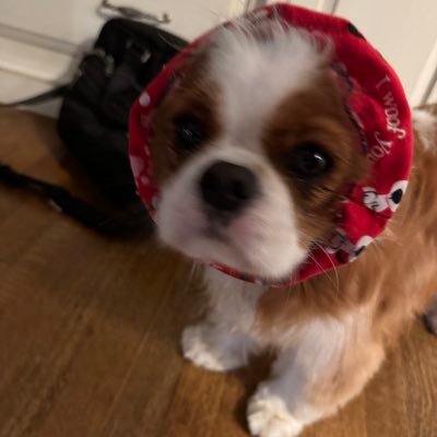 canimalcracker's profile picture. Sorry not ghosting you, I just don’t have anything to say