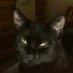 BlakLD (@blakld) Twitter profile photo
