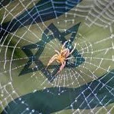 babasas9's profile picture. جرم جمهوری اسلامی این است که از جمهور ملت در برابر گروهک‌های تجزیه طلب و هویت ستیز و غرب زده دفاع می‌کند