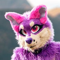 Tapik (@tapik_ad) 's Twitter Profile Photo Tapik (@tapik_ad) 's Twitter Profile Photo