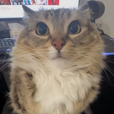 Feng_By1's profile picture. 