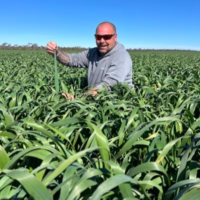Farm manager at Yupiri, Beaumont for ViridisAg. father of 4. sports mad! passionate about Farming!