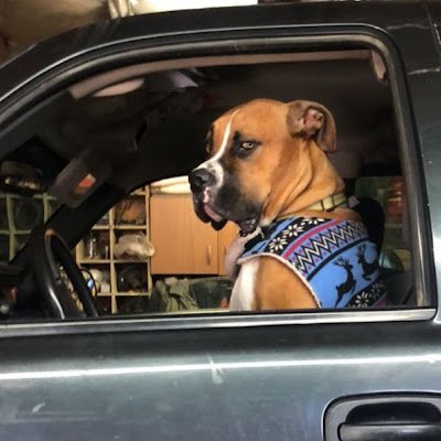 alle93636's profile picture. 