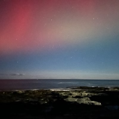 ncsamp's profile picture. 