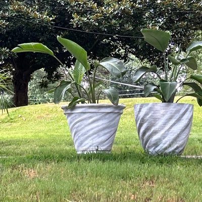 fitnessjonez's profile picture. I’m a TROLL!