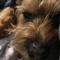 BoilTheOil (@oil_boil) 's Twitter Profile Photo