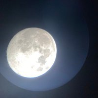Thomas (@hellowhat78) 's Twitter Profile