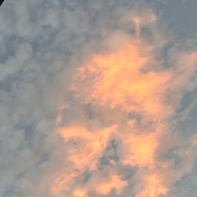 Cookiee369's profile picture. 