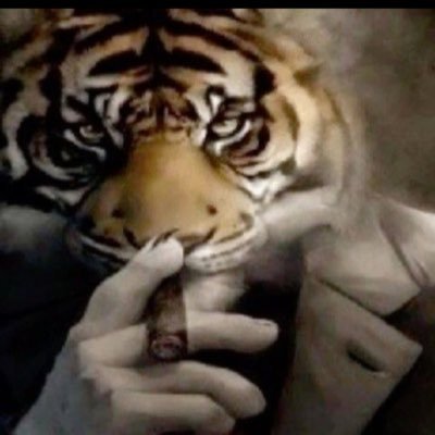 love_crypto55's profile picture. What ever I buy goes down