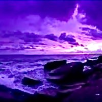 DAC (@hopscotch800) 's Twitter Profile