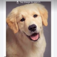 Cooley Anderson (@co28404cooley) 's Twitter Profile