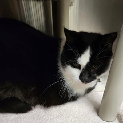 TVasTherapy's profile picture. 