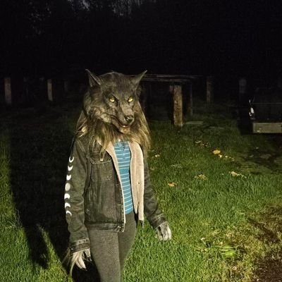 Hood Down, Amps Upさんのプロフィール画像