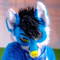 Nitrous Fox ΘΔ (@thenitrousfox) 's Twitter Profile