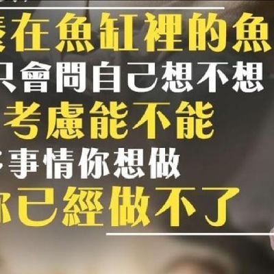 yl980640's profile picture. 遊手好閒，無所事事，but love to help my dear ...