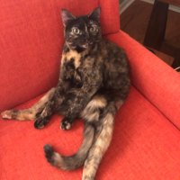 Departing Soon For Blue (@vaportrails63) 's Twitter Profile