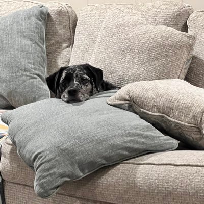 kkou76's profile picture. 